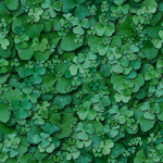 clover bg