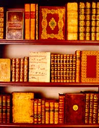 bookshelf bg