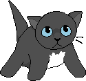 a small black kitten with blue eyes