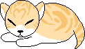 a tiny yellow kitten with closed eyes