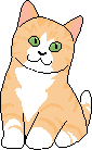 A sitting yellow kitten